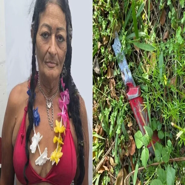 Divulgação
