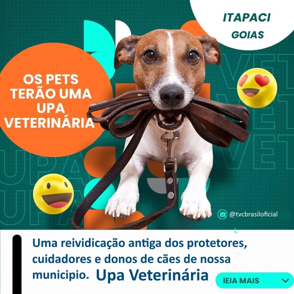 TVC BRASIL/ ilustrativa 