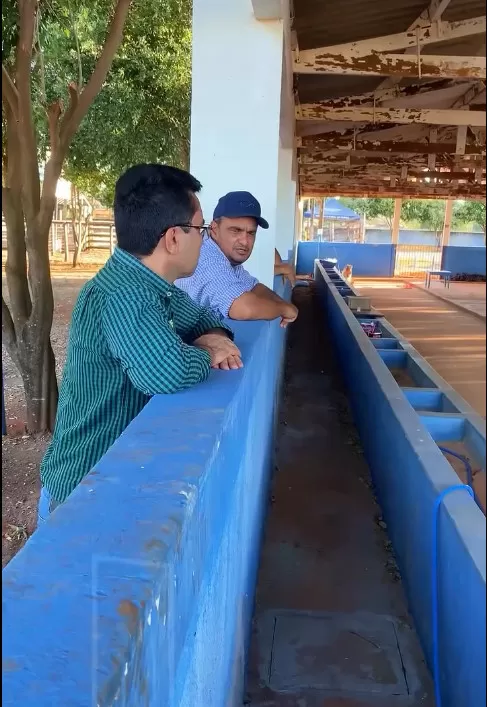 FOTO VÍDEO 