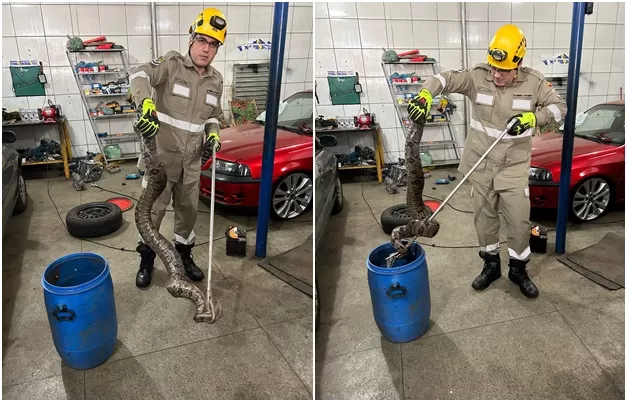 Bombeiros 