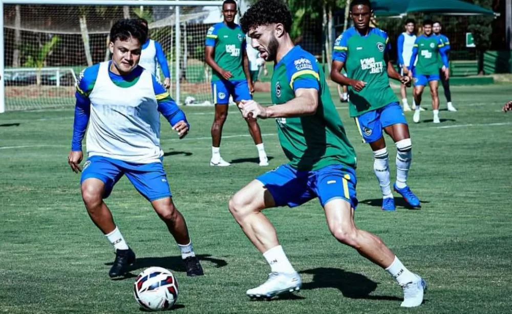 Divulgação 