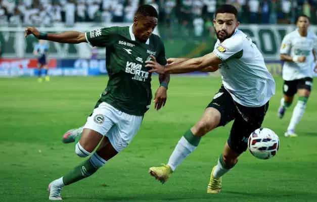 Jogo Goiás e América-MG (Foto: divulgação Goiás)