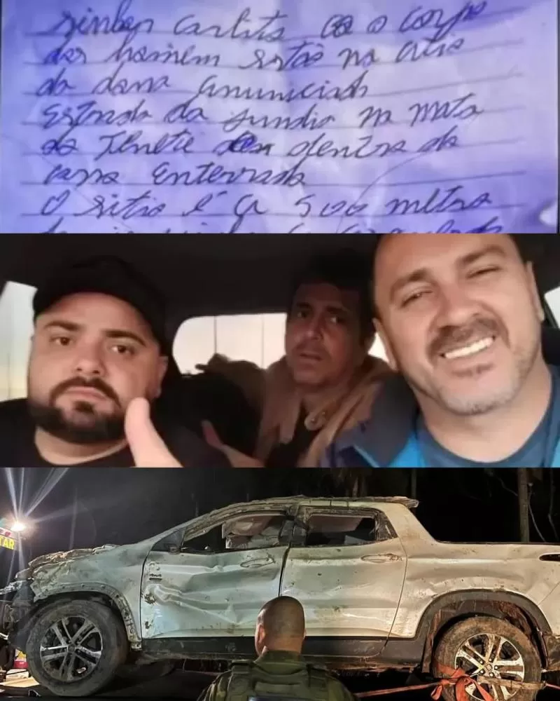 Divulgação 