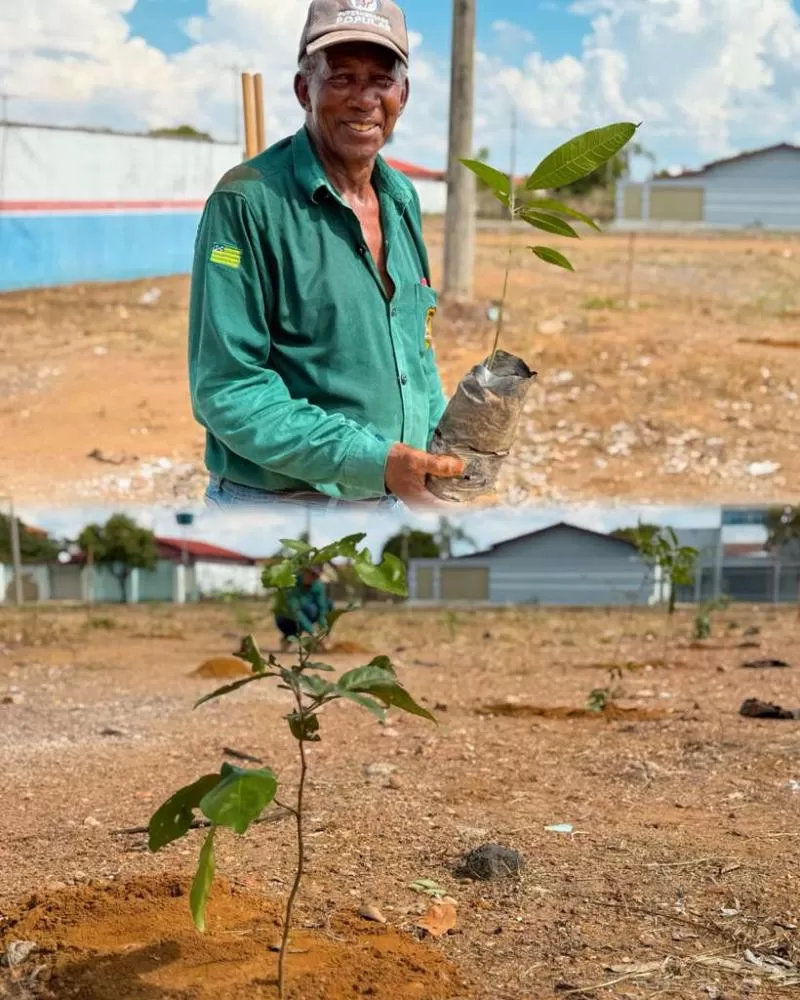 Imagens / arquivo prefeitura 