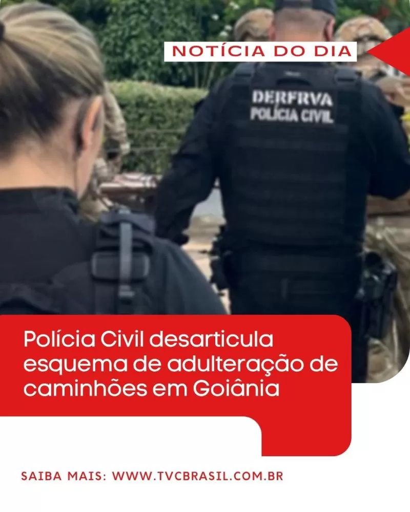 Divulgação 