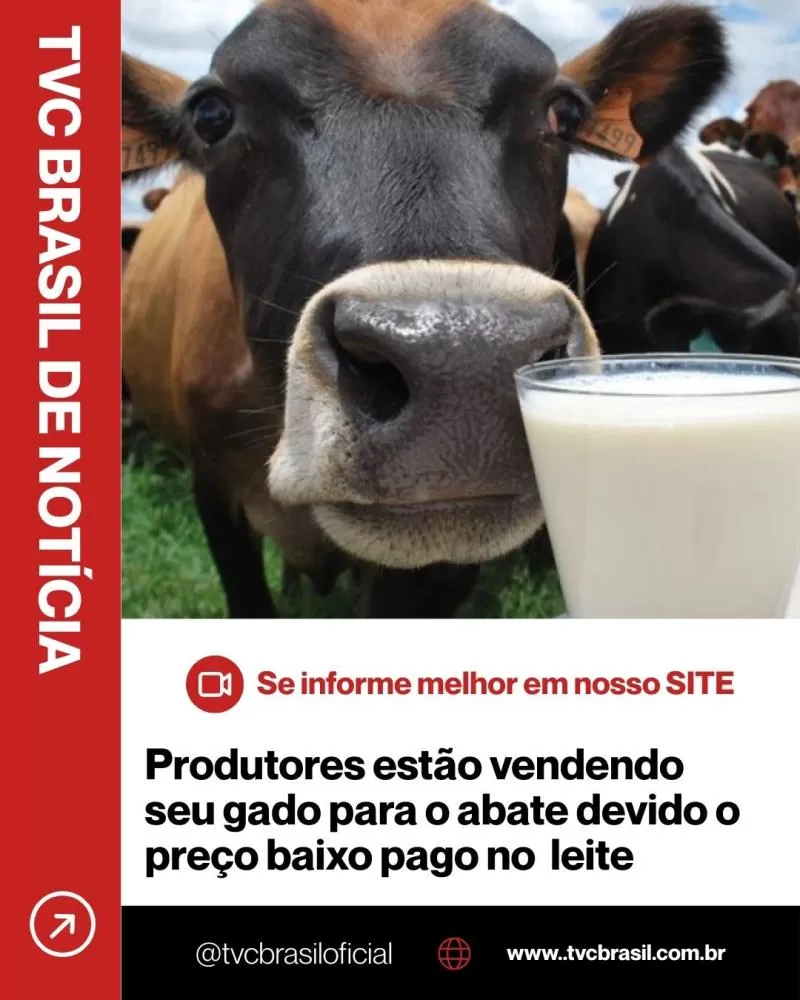 Ilustrativa 