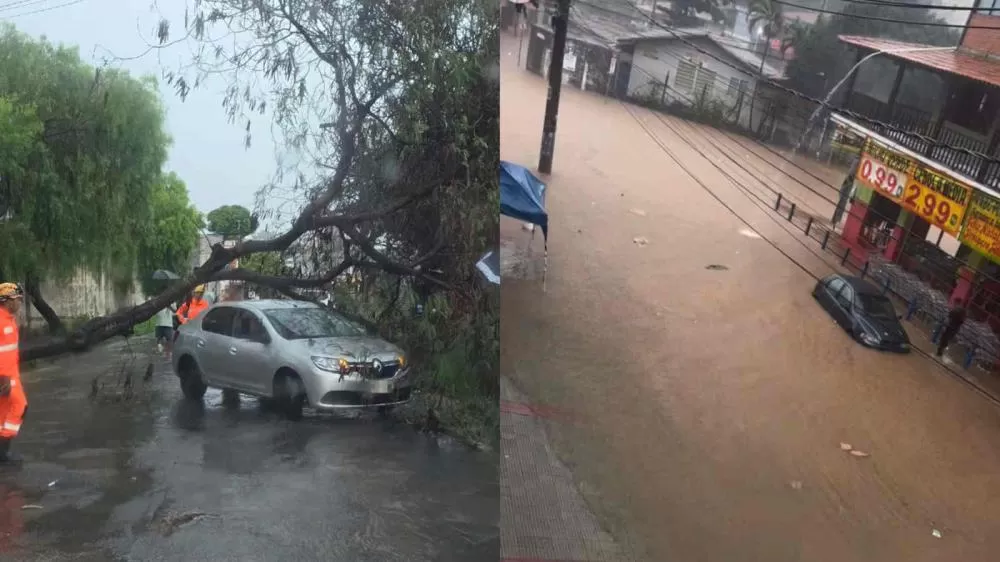 Divulgação Defesa Civil 