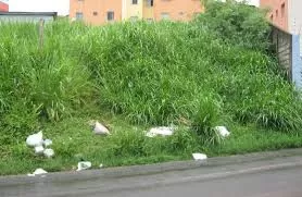 Imagens ilustrativas 