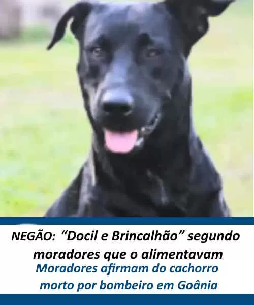 (Foto: Reprodução)