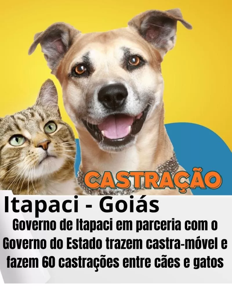 Ilustrativa 