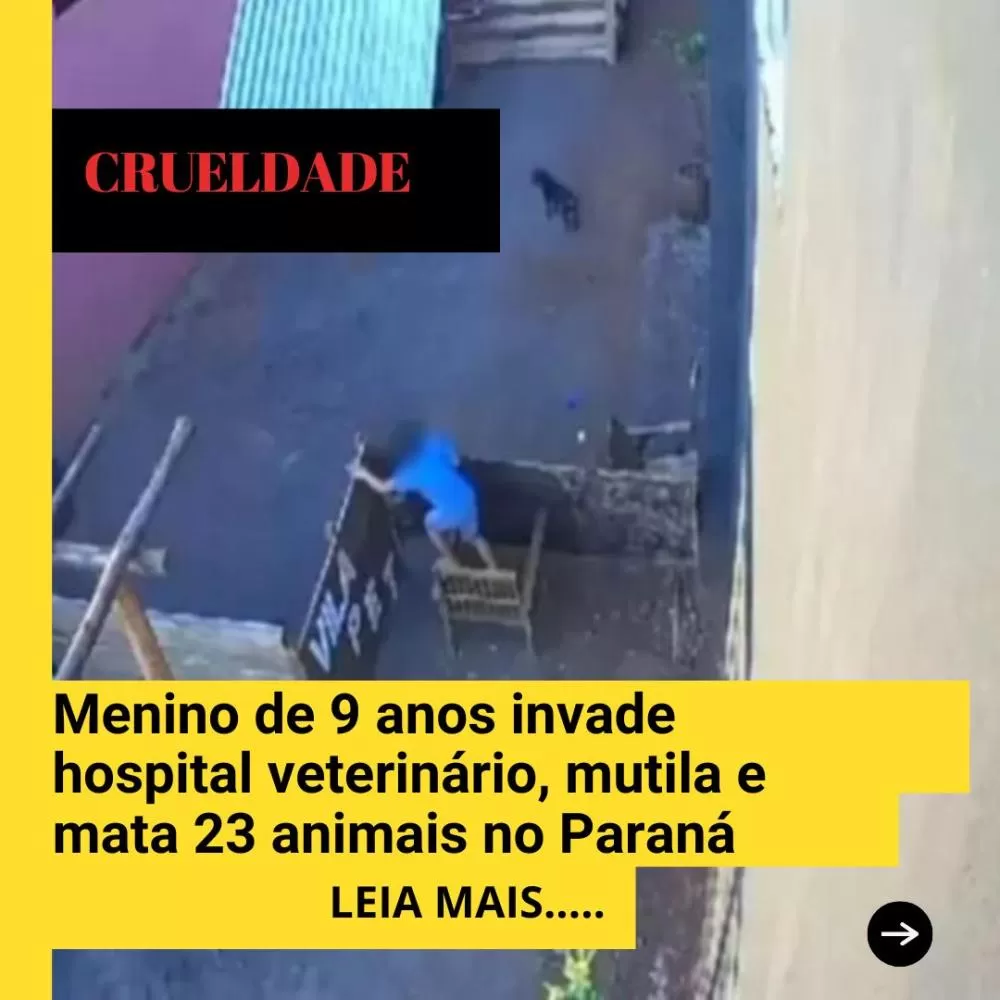 Divulgação