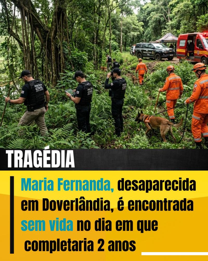Divulgação 