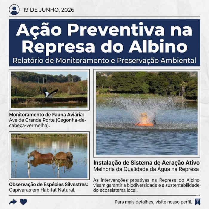Imagens/ Meio Ambiente / Arte TVC Brasil 