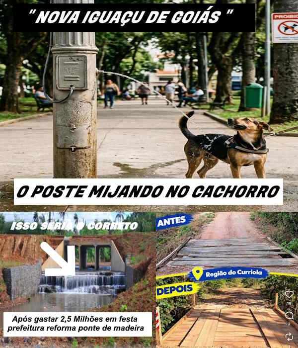 Ilustrativa 