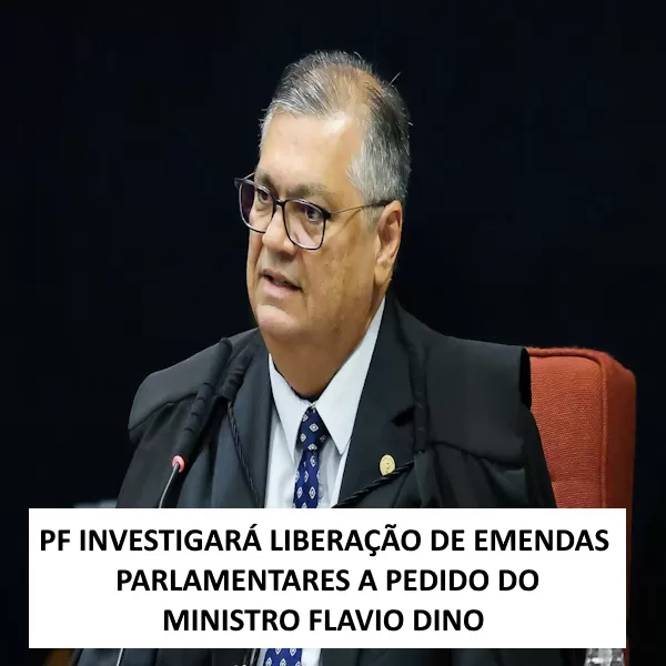 Rede sociais 