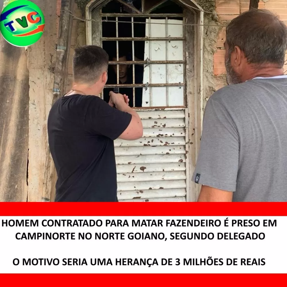 Divulgação
