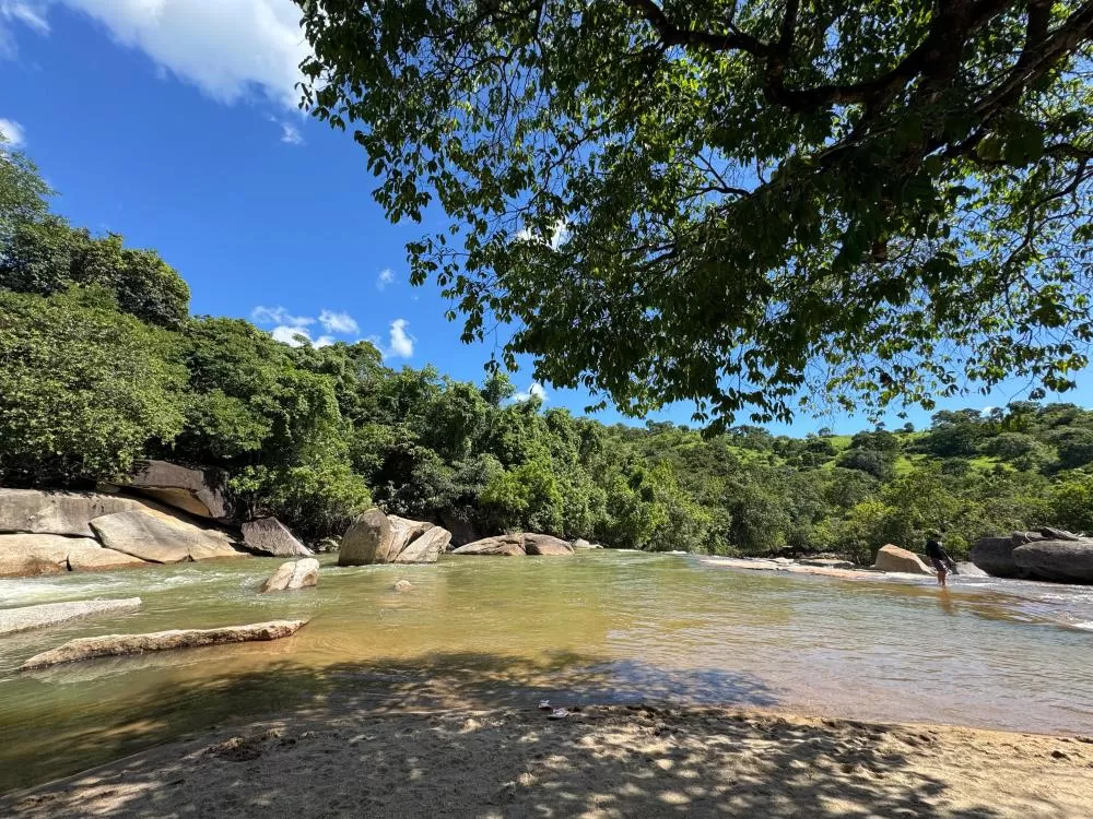 Divulgação